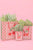 Cherry On Top Gift Bag + Stripes - Ric Rac Handle - Gift Tag