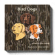 Mossy Oak Edition Bird Dogs Children's Book
