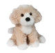 Darcy Goldendoodle