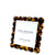 Square Scallop Frame - Tortoise