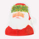 Santa Head Plates