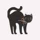 Halloween Cat Shaped Napkins (x 16)