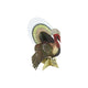 John Derian Turkey Place Cards