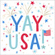 4th of July Foil Cocktail Funny Napkins |Yay USA - 20ct