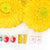 Ruler Studs