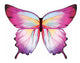 Ombre Butterfly Soft Wings