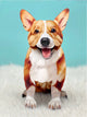 Corgi Pop-Up Greeting Cards