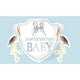 "Welcome Baby" Stork Flag