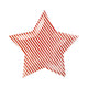 Striped Star Shaped Paper Plate