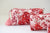 Terracotta Floral Travel/Make Up/Organizer/Bag
