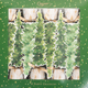 White Christmas Luxury Cone Crackers-10 Inch/8-In