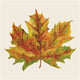Fall Foliage Cocktail Napkin - Pack of 20