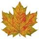 DIE-CUT Fall Leaf Placemat - 12 SHEETS