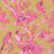 Scenic Songbirds Rose/gold Napkin Cocktail