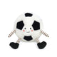 Sergio Soccer Player