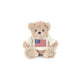 USA Teddy Bear SM