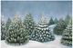 Evergreen Forest Placemat - 24 Sheets