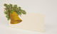 BELL PLACE CARD - PACK OF 12