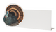 Heritage Turkey Place Card - Pack of 12
