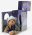 Theodore the Adventure Bear + Gift Box