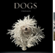 Dogs