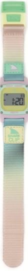 Scenic Sky Shark Watch