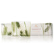 Frasier Fir Poured Candle Set Pine Needle Design