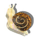 Snail Claw Hair Clip