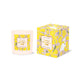 Simply Exquisite Candle - Essence of Citrus Grove (soy coco)