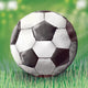 Soccer Field Paper Cocktail Napkins 20 Ct