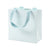 Mini Stripe Medium Gift Bag in Robin's Egg