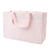 Mini Stripe Medium Gift Bag in Blush
