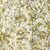 White & Gold Sprinkle Mix