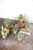 Artificial Succulent Glass Jar Assorted