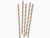 Feliz Paper Straws