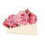 Peony Placecards