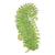 FERN FRONDS TABLE ACCENT - SET OF 12