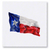 Texas Flag Napkin Set