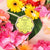 Spongette Daisy Collection