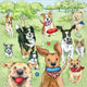 Pack of 20 Dog Park Runners napkins
