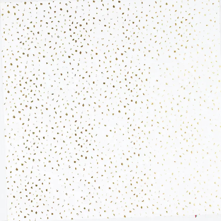 Reflection Tissue