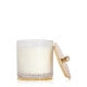 Frasier Fir Gilded Frosted Wood Grain Candle 13.5oz